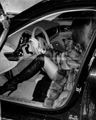 Анкета проститутки Виктория - метро Сокол, возраст - 25